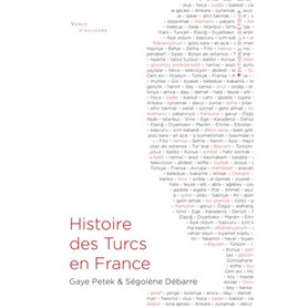 Histoire des turcs en France