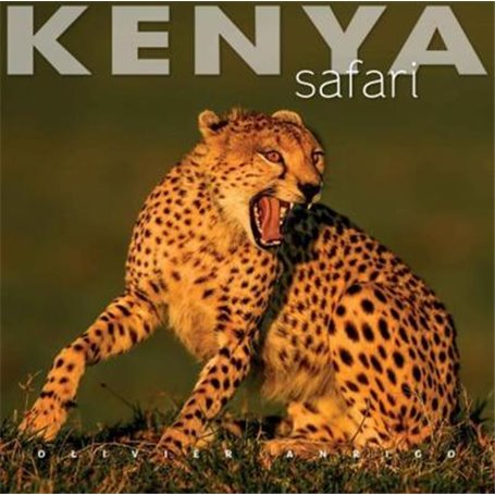 Kenya safari