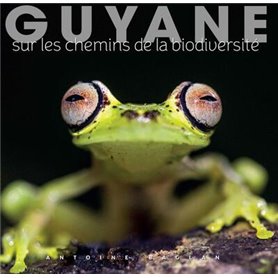 Guyane