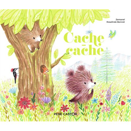 Cache-cache