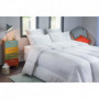 BLANREVE Couette tres chaude Percale - 420g/m² - 200x200 112,99 €