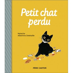 Petit chat perdu