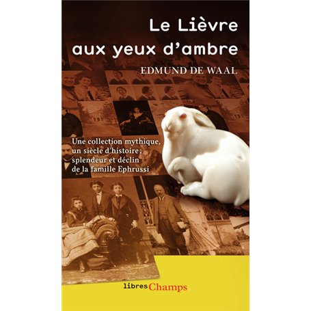 Le Lièvre aux yeux d'ambre