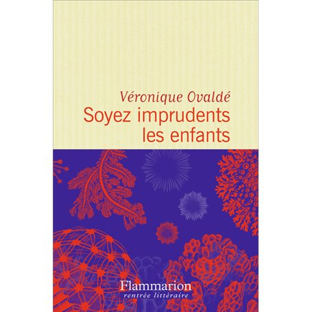 Soyez imprudents les enfants