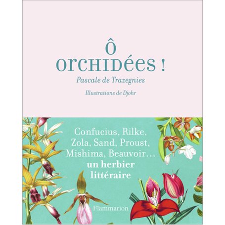 Ô orchidées !