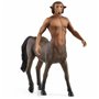 Figurine daction Schleich Harry Potter - Firenze Moderne 1 Pièce