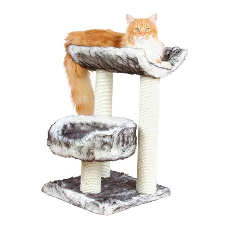 Grattoir pour Chats Trixie 44567 Arbre Sisal Noir Ø 8 cm 62 cm 36 x 36