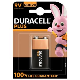 Batterie rechargeable DURACELL 9 V