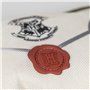 Jouet pour chien Harry Potter Beige 15 x 5 x 20 cm