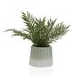 Plante décorative Versa Métal Céramique polystyrène Plastique 38 x 38 