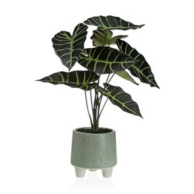 Plante décorative Versa Métal Céramique polystyrène Plastique 30 x 46 