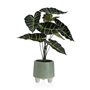 Plante décorative Versa Métal Céramique polystyrène Plastique 30 x 46 