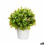 Plante décorative Plastique 17 x 17 cm (6 Unités)