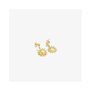 Boucles d´oreilles Femme Radiant RY000149