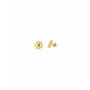 Boucles d´oreilles Femme Radiant RY000153