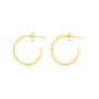 Boucles d´oreilles Femme Radiant RY000016