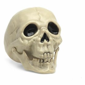 Crâne Blanc Halloween