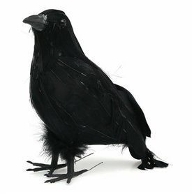 Décoration d'Halloween Noir Oiseau