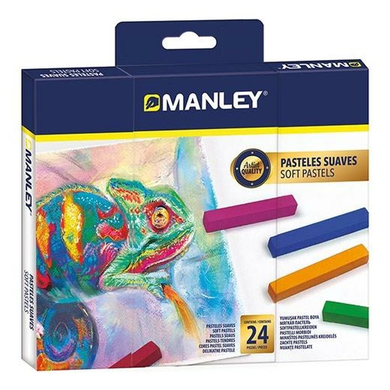 Gâteaux Manley MSP00024 Multicouleur 24 Pièces
