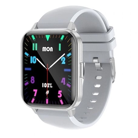 Montre intelligente LEOTEC LESW41G Gris