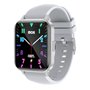 Montre intelligente LEOTEC LESW41G Gris