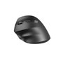 Souris Natec NMY-2049 Noir