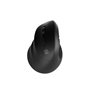 Souris Natec NMY-2049 Noir