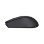 Souris Trust 25084 Noir Monochrome