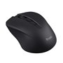 Souris Trust 25084 Noir Monochrome