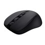 Souris Trust 25084 Noir Monochrome