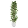 Arbre Home ESPRIT Polyester Bambou 40 x 40 x 180 cm