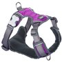 Harnais pour Chien Red Dingo Dingo 25-36 cm 31-43 cm Violet XS