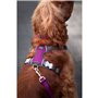 Harnais pour Chien Red Dingo Dingo 25-36 cm 31-43 cm Violet XS