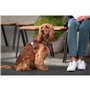 Harnais pour Chien Red Dingo Dingo 30-47 cm 37-52 cm Violet S