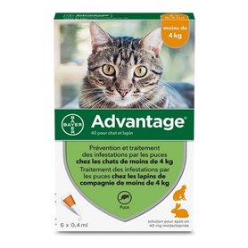 Antiparasites Advantage Chat Lapin 1-4 Kg 0,4 ml 6 Unités