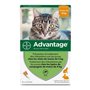 Antiparasites Advantage Chat Lapin 1-4 Kg 0,4 ml 6 Unités