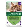 Antiparasites Advantage Chat Lapin +4 Kg 4 Unités 0,8 ml