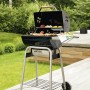 Barbecue Landmann Acier