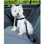 Harnais pour Chien Trixie                                 Noir S