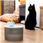 Fontaine pour Chats Rechargeable avec Détecteur Refopet InnovaGoods