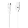 Câble USB-C vers USB Silicon Power SP1M0ASYLK10AC1W Blanc 1 m