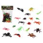 Insectes Natural Species