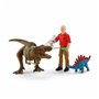 Playset Schleich Tyrannosaurus Rex Attack 41465 5 Pièces