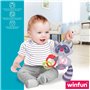 Peluche Hochet Winfun Raton laveur 14,5 x 20 x 9,5 cm (6 Unités)