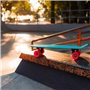 Skateboard Colorbaby Bleu (6 Unités)