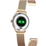 Montre connectée FW42 Gold Maxcom