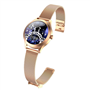 Montre connectée FW42 Gold Maxcom