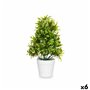 Plante décorative Plastique 18 x 35 x 16 cm (6 Unités)