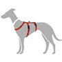 Harnais pour Chien Hunter 48-70 cm Rouge S/M 36-51 cm