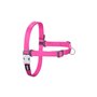 Harnais pour Chien Red Dingo 36-50 cm Fuchsia S